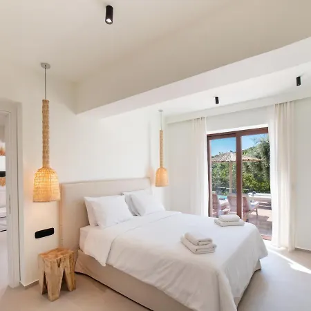 Anemones By Omikron Selections *