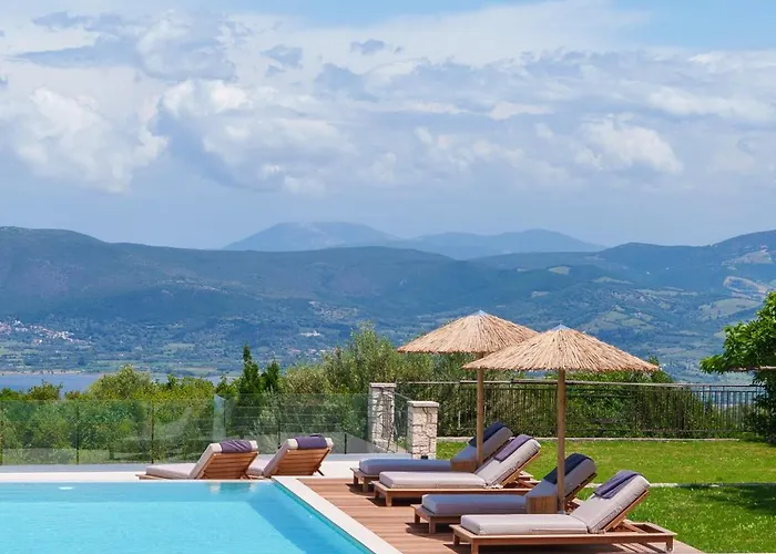 Anemones By Omikron Selections